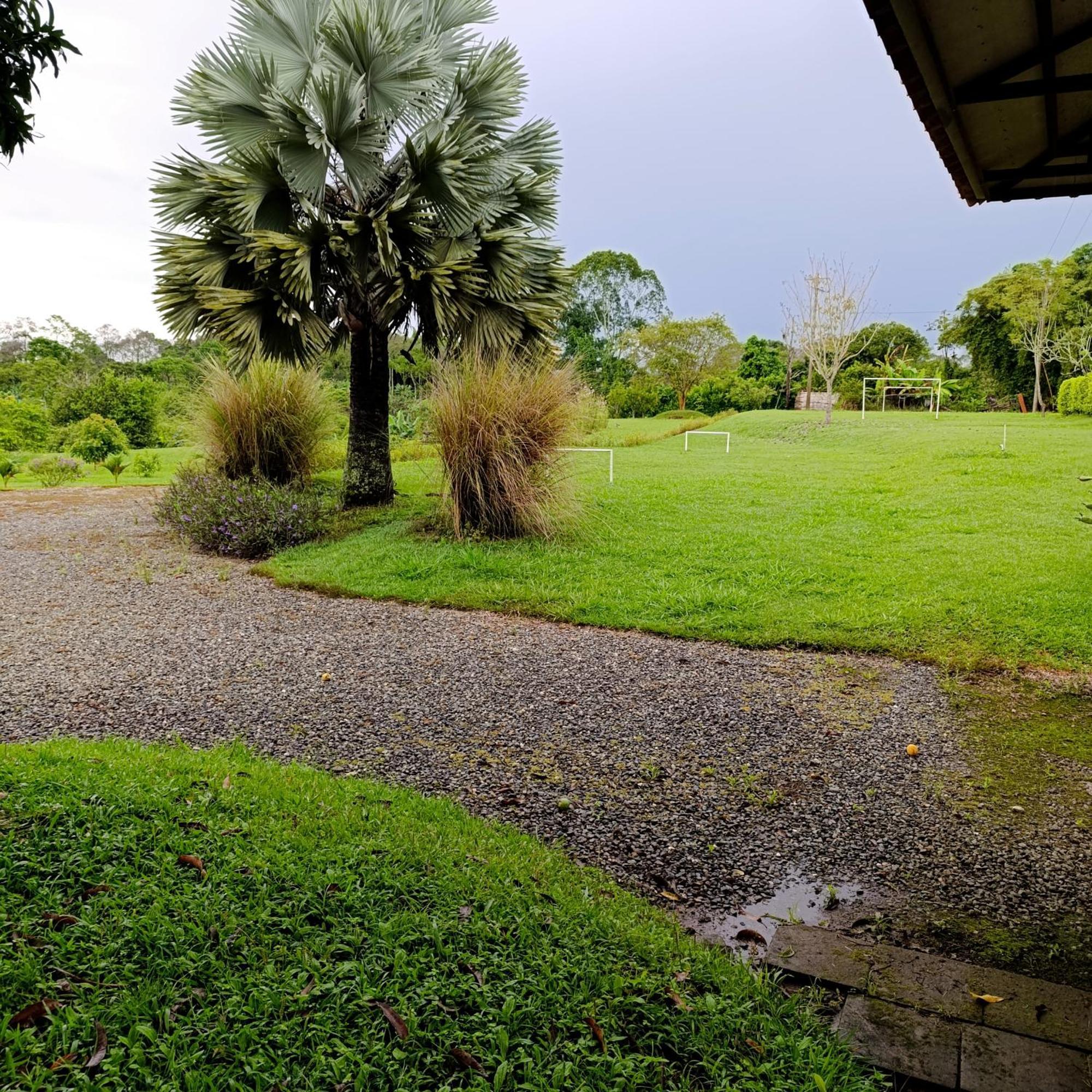 Hotel Campestre Los Mangos Quimbaya Zewnętrze zdjęcie
