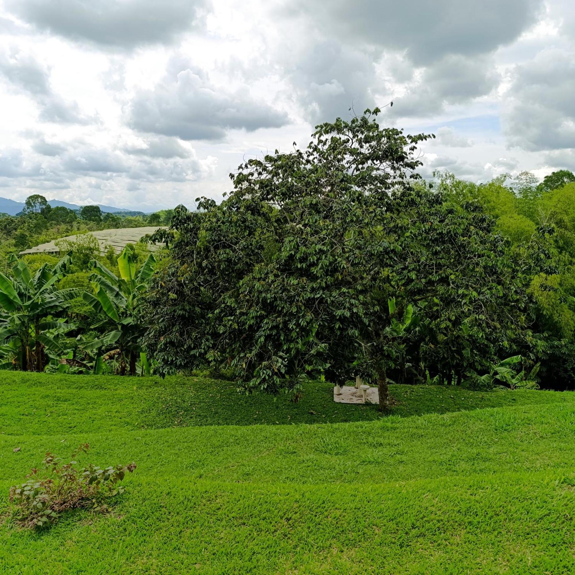 Hotel Campestre Los Mangos Quimbaya Zewnętrze zdjęcie